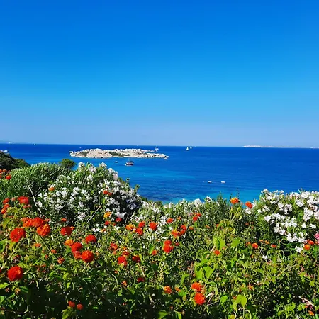 Vista Mare La Marmorata Residenze * 산타테레사의갈루라